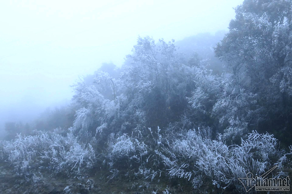 Băng tuyết phủ trắng đỉnh đèo Ô Quý Hồ